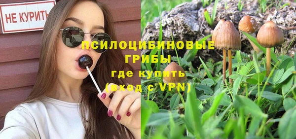 МДПВ Заволжье