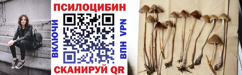 Псилоцибиновые грибы ЛСД  Купить закладки  Спасск-Рязанский 